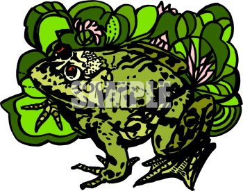 Amphibians Clipart