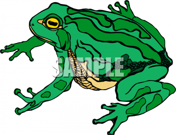 Amphibians Clipart