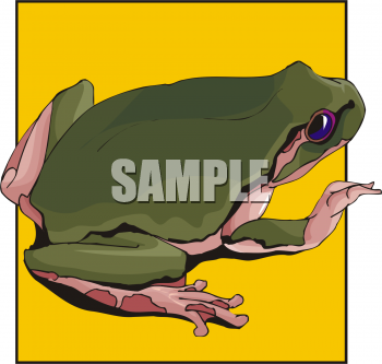 Amphibians Clipart
