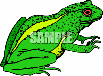 Amphibians Clipart