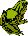 Amphibians Clipart