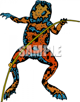 Amphibians Clipart