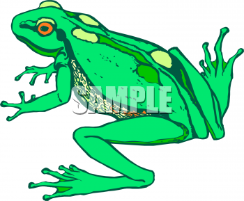 Amphibians Clipart