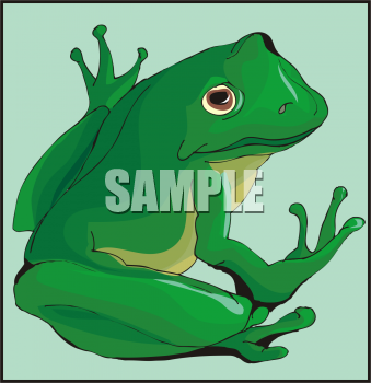Amphibians Clipart