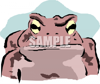 Amphibians Clipart