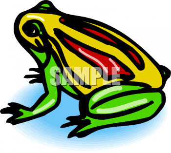 Amphibians Clipart