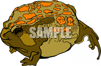 Amphibians Clipart
