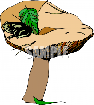 Amphibians Clipart