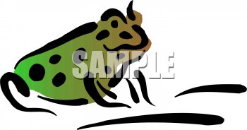 Amphibians Clipart