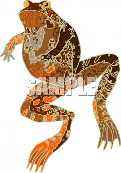 Amphibians Clipart