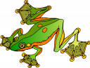 Amphibians Clipart