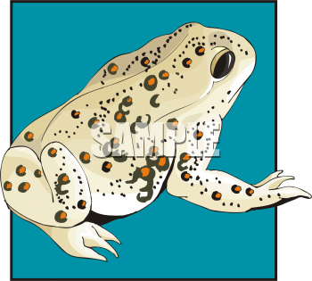 Amphibians Clipart