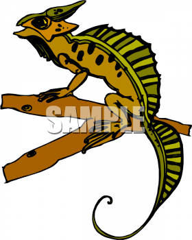 Lizard Clipart