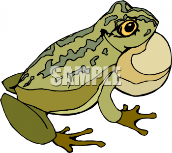 Amphibians Clipart