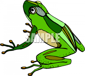 Amphibians Clipart