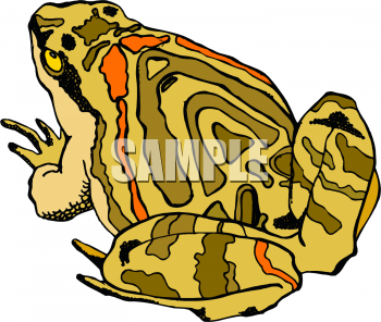 Amphibians Clipart
