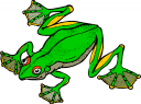 Amphibians Clipart