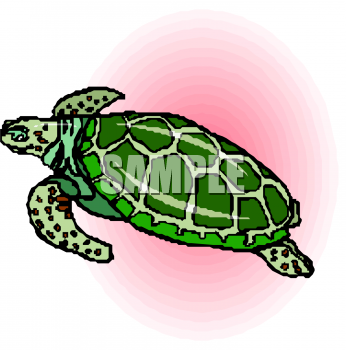 Reptile Clipart