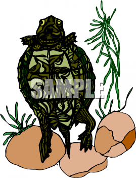 Reptile Clipart