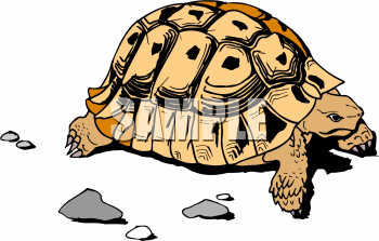 Reptile Clipart