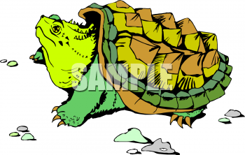 Reptile Clipart