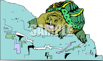 Reptile Clipart