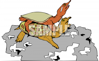Reptile Clipart