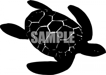 Reptile Clipart