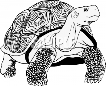 Reptile Clipart