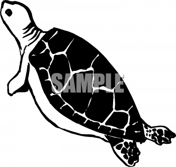Reptile Clipart