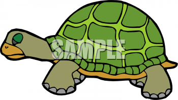 Reptile Clipart