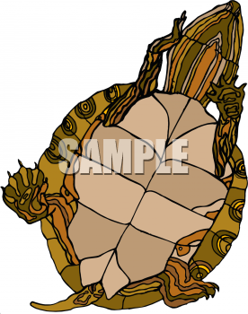 Reptile Clipart
