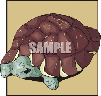 Reptile Clipart