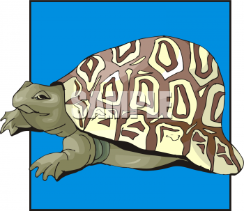 Reptile Clipart