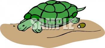 Reptile Clipart