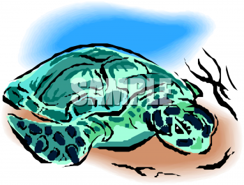 Reptile Clipart
