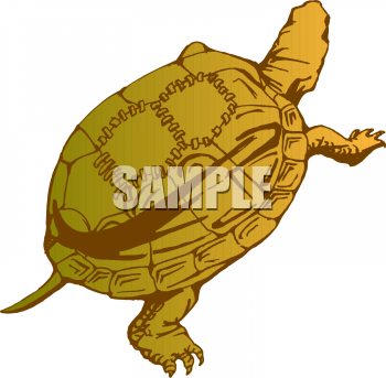 Reptile Clipart