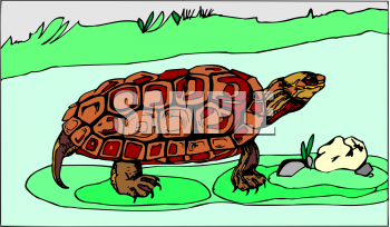 Reptile Clipart