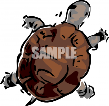 Reptile Clipart