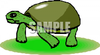 Reptile Clipart