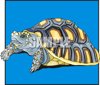 Reptile Clipart