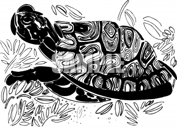 Reptile Clipart