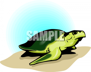 Reptile Clipart