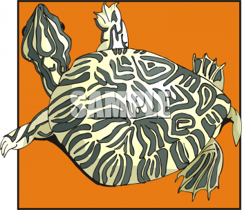 Reptile Clipart