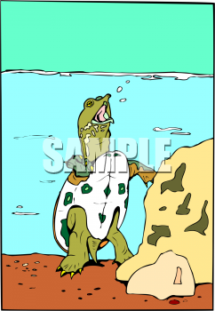 Reptile Clipart