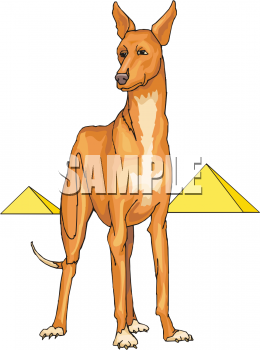 Dog Clipart