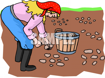 Farm Buildings Clipart