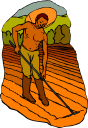 Farming Clipart