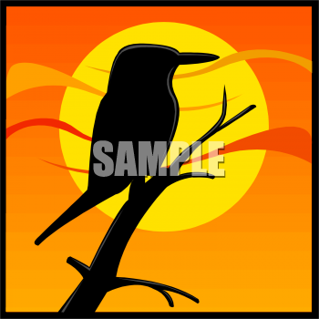 Bird Clipart