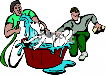 Pet Clipart